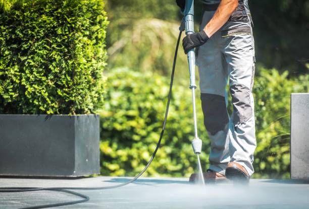 Professional Pressure Washing Services in Trevorton, PA
