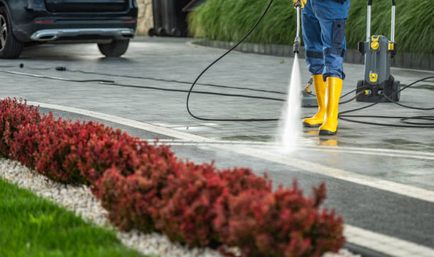Best Dumpster Area Cleaning  in Trevorton, PA